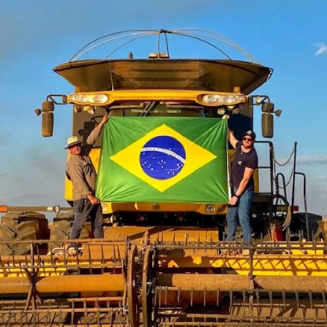 World Pulses Day - Brasil