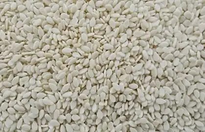 Hulled Brazilian sesame seeds