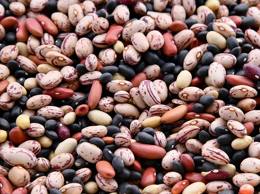 Beans and Pulses