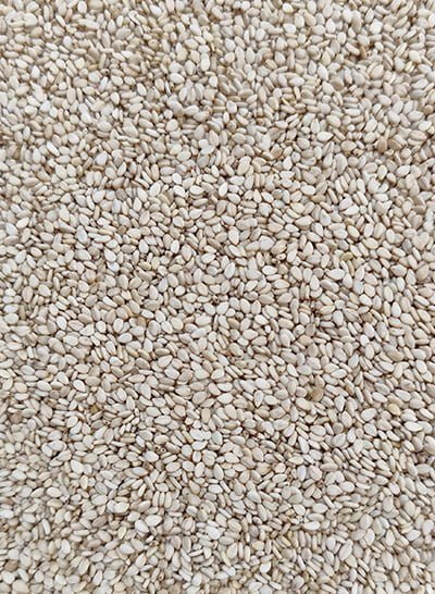 Small, light brown K3 sesame seeds