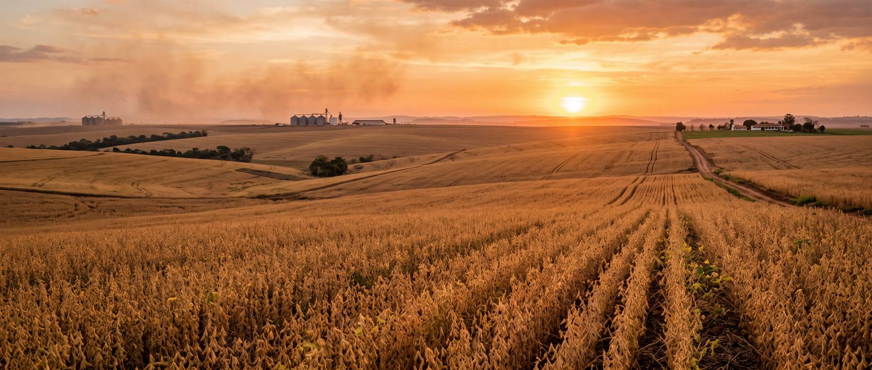 Brazilian crop field at sunset, with storage silos on the horizon