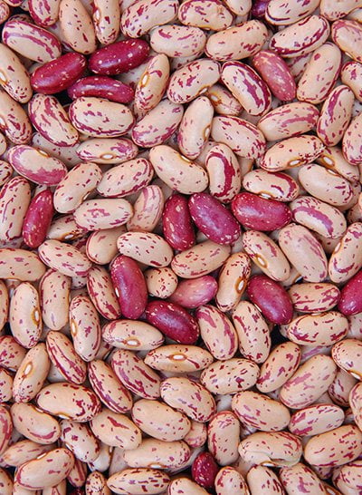 Light speckled kidney beans – LSKB 