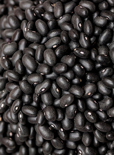 Black Beans
