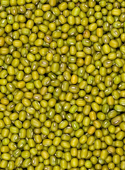 Green Mung Beans